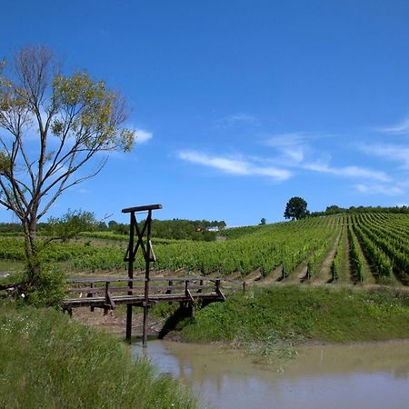 Stupnicki Dvori Winery Hotel Stupnik Brodski Dış mekan fotoğraf