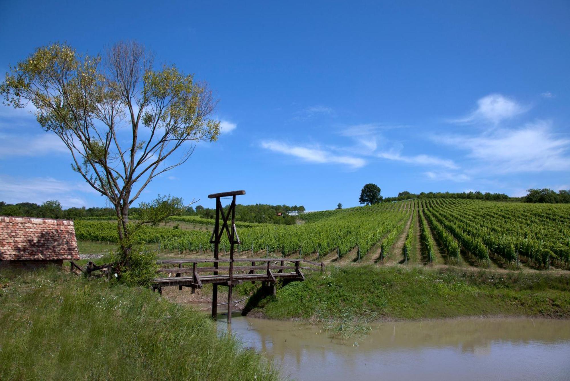 Stupnicki Dvori Winery Hotel Stupnik Brodski Dış mekan fotoğraf