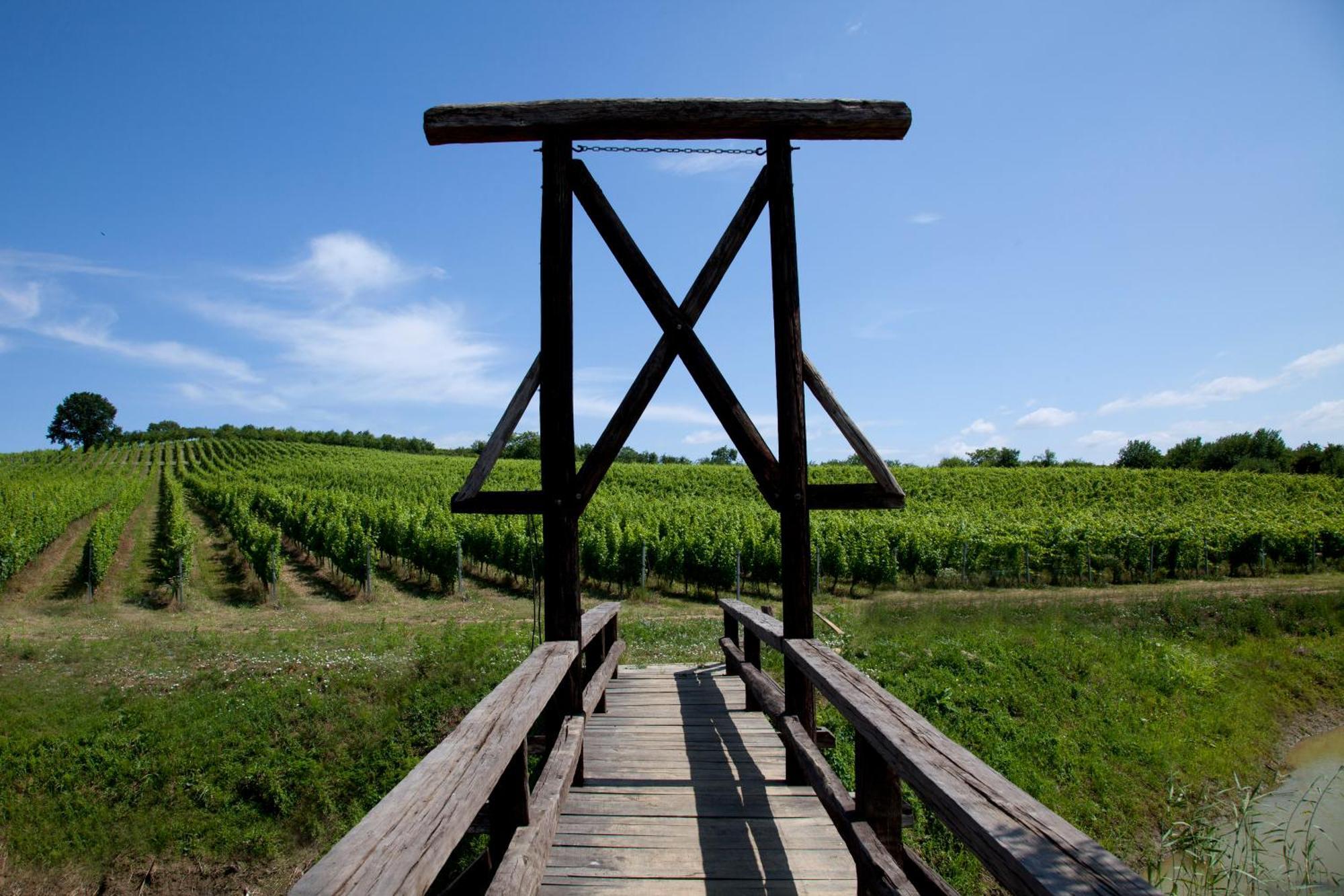 Stupnicki Dvori Winery Hotel Stupnik Brodski Dış mekan fotoğraf