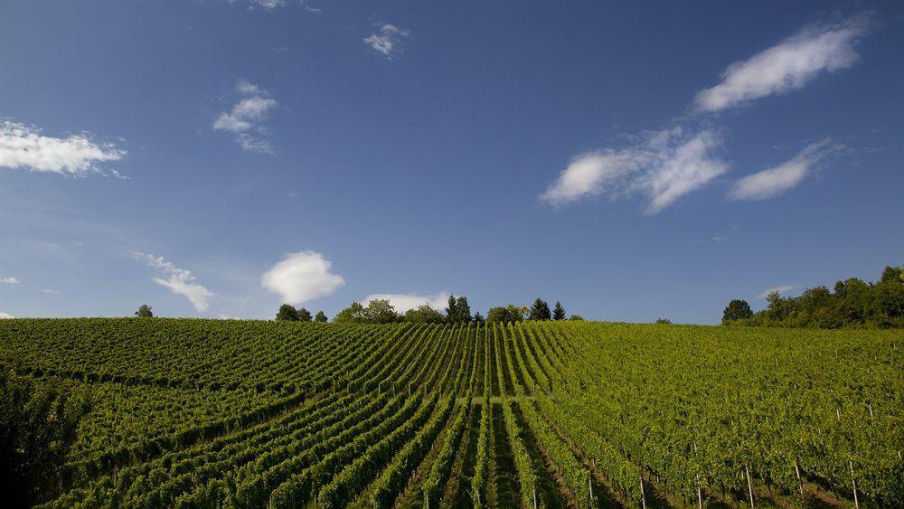 Stupnicki Dvori Winery Hotel Stupnik Brodski Dış mekan fotoğraf