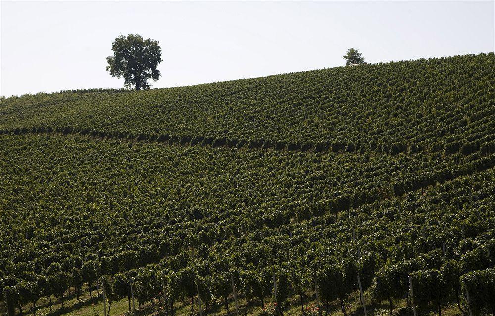 Stupnicki Dvori Winery Hotel Stupnik Brodski Dış mekan fotoğraf